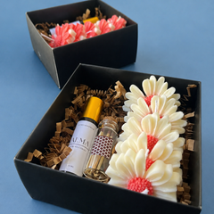 Box bloom & glow
